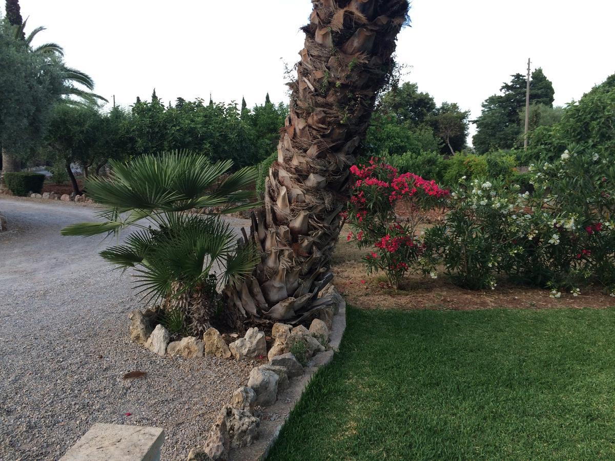 Jardí de Papallones Pollensa Exterior foto
